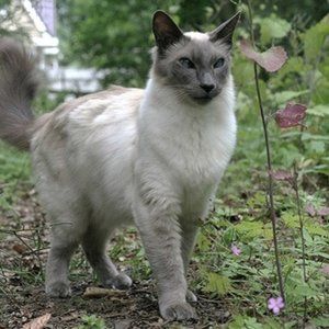 Guess who?? It's a me , Gretchen!